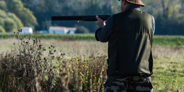 The celebrated  subject  of mandatory huntsman  tests is back. There is simply a complaint to the European Commission