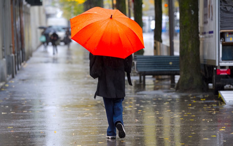 W najbliższych dniach w wielu regionach kraju należy spodziewać się opadów deszczu