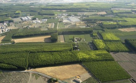 Zasady obrotu gruntami trzeba dopracować - twierdzi adwokat