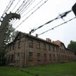 Według nieoficjalnych informacji Irving ma z grupą osób odwiedzić m.in. obozy zagłady Auschwitz