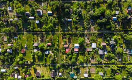 Co warto wiedziać o działkach letniskowych