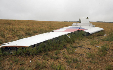 Rosyjski ambasador w Australii o śledztwie ws. katastrofy MH17: Prymitywne fałszerstwo