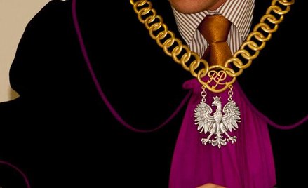 Wyroki powszechnie dostępne w sieci