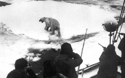 Polowanie na niedźwiedzie polarne na Grenlandii, 1970 rok