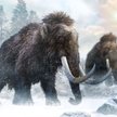 Ostatni mamut zginął 4000 lat temu