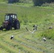 Więcej kobiet na czele dużych gospodarstw