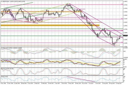 Wykres dzienny USD/CAD