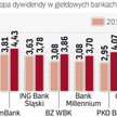 W kolejnych latach dywidendy banków powinny być jeszcze wyższe niż w 2013 r