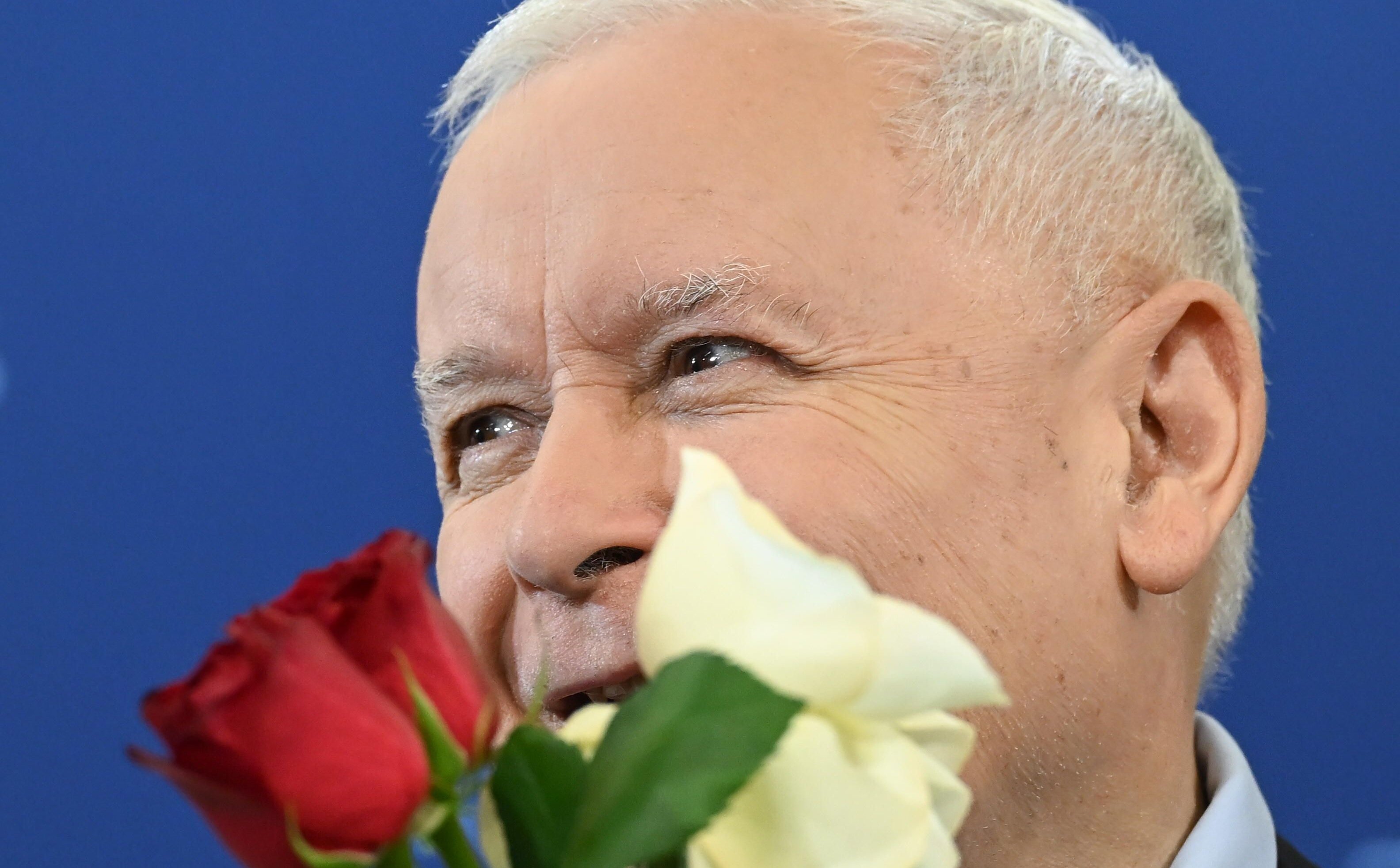 Новый партийный опрос: ПиС растет, Конфедерация падает