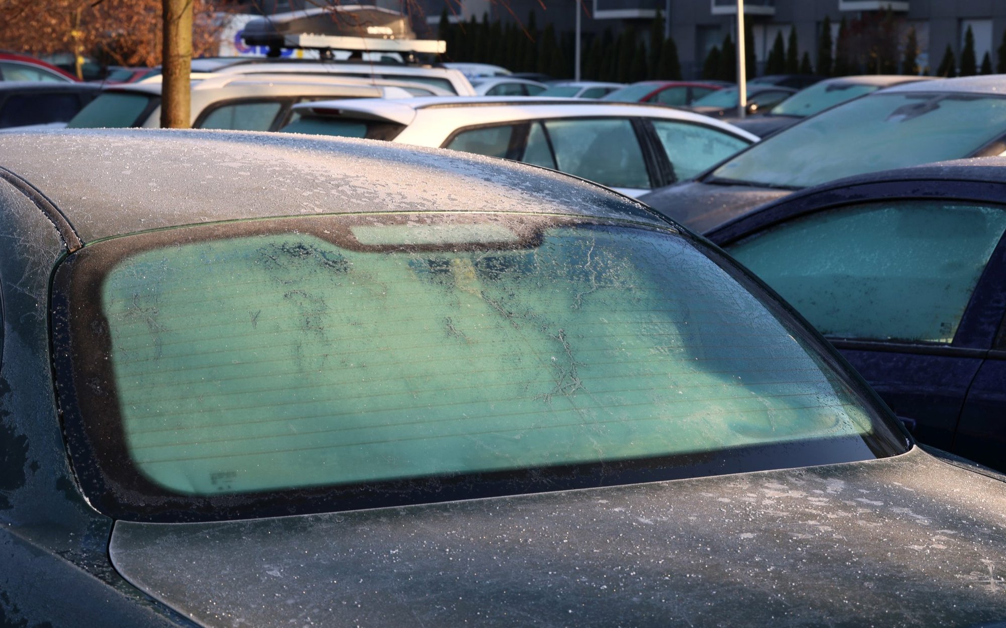 Nawet 3000 zł za lód na szybie. Policja nie odpuszcza w okresie przymrozków