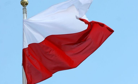 Projekt „Pod Biało-czerwoną” bez budżetu