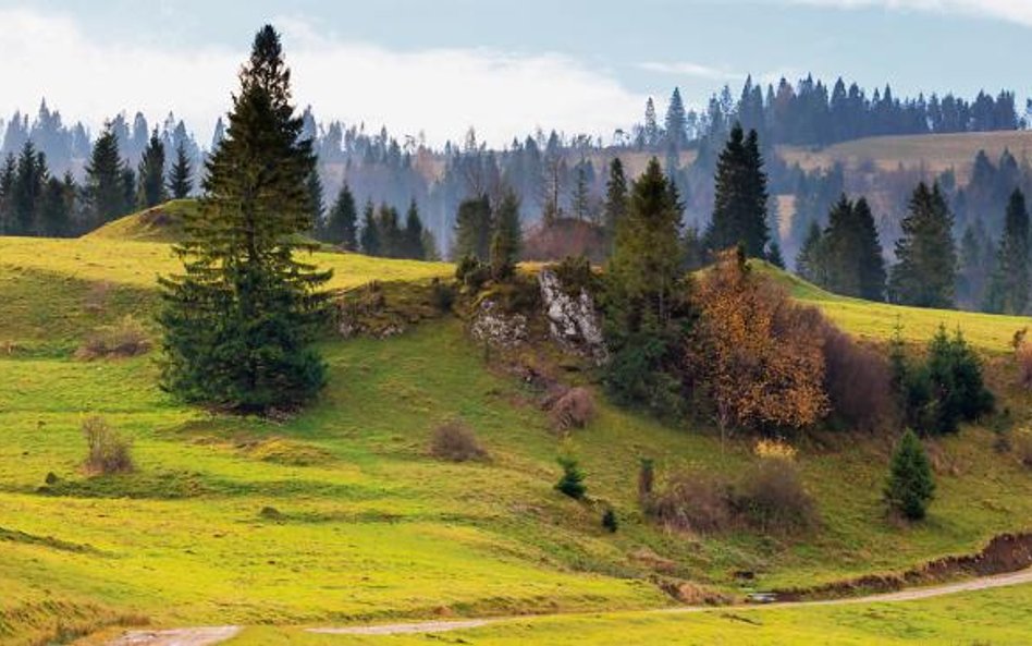 Pieniński Park Narodowy zakupił w 2016 r. blisko 4 ha gruntów od właścicieli prywatnych za kwotę pon