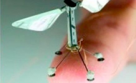 Drony wykonują w powietrzu manewry zbliżone do prawdziwych owadów /Harvard Microbiotics Laboratory