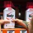 Monsanto: czwarta, ogromna kara za Roundupa