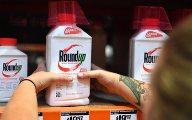 Monsanto: czwarta, ogromna kara za Roundupa