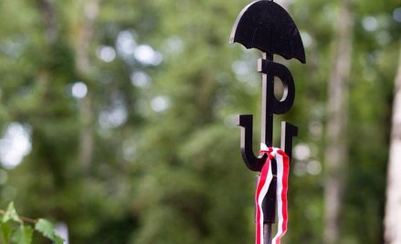 Dobro narodowe: Symbol Polski Walczącej trudny do ochrony