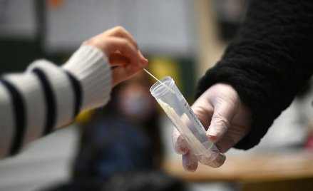 Czechy i Niemcy zgłaszają podejrzenia przypadków Omikrona