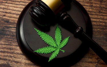 Sąd UE: symbol marihuany nie może być znakiem towarowym