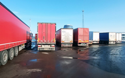 Białoruskie służby zatrzymały polskie ciężarówki z jabłkami