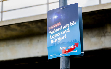 Niemcy: AfD z najmniejszym poparciem od 2017 roku