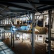 Warszawskie muzeum z przyłbicami ochronnymi od Pekao