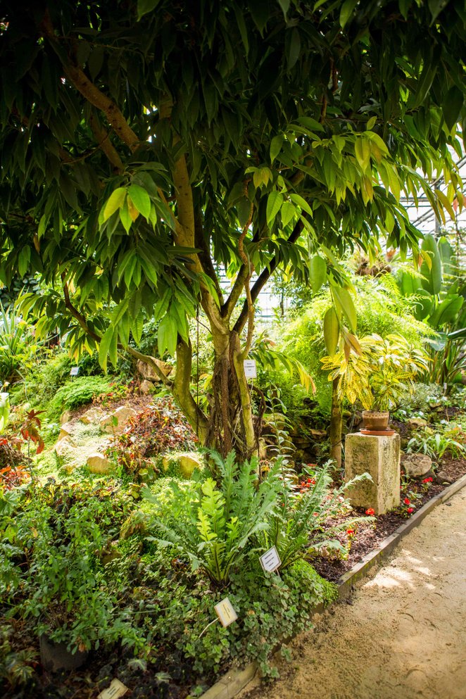 Ogród Botaniczny w Powsinie