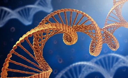 Naukowcy po raz pierwszy zmienili DNA bakterii, dzięki temu wytwarzają białka, które normalnie nie w