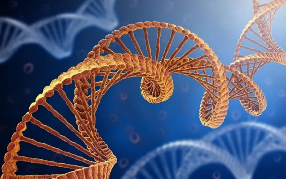 Naukowcy po raz pierwszy zmienili DNA bakterii, dzięki temu wytwarzają białka, które normalnie nie w