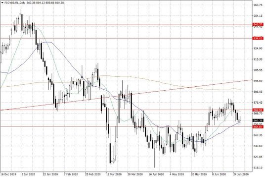 Notowania soi w USA – dane dzienne