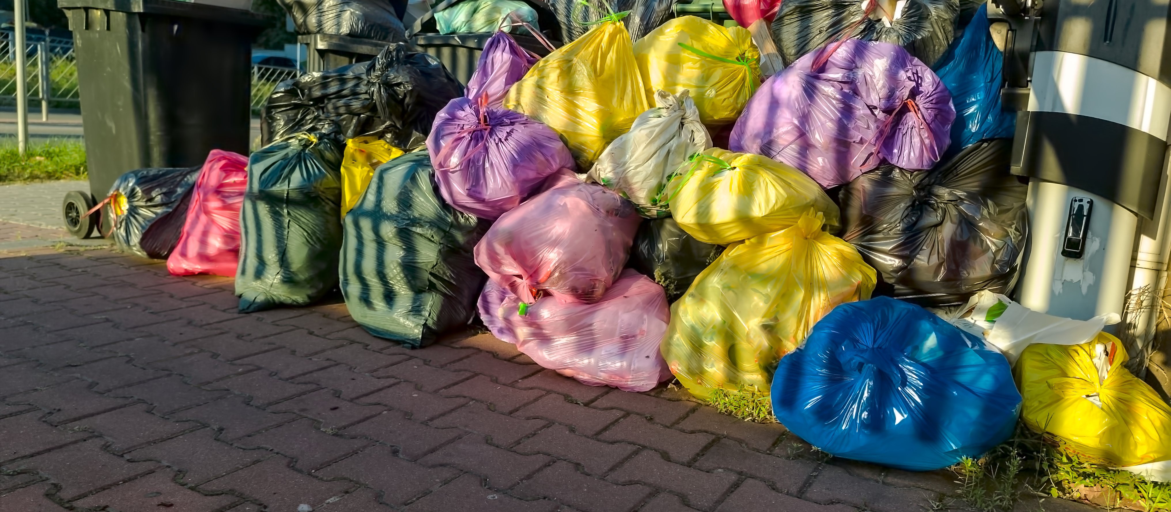 Miasto dostarczy fioletowe worki. Zmiany w segregacji odpadów już od października