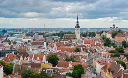 Zagospodarowanie terenu w planach miejscowych