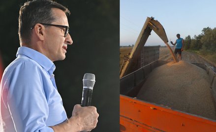 Mateusz Morawiecki twierdzi, że Polska może samodzielnie zakazać wwozu zboża z Ukrainy. Czy to prawd