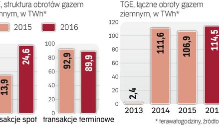 W 2016 r. na TGE były rekordowe obroty gazem