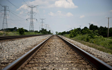 PKP PLK: w maju umowa z wykonawcą odcinka Rail Baltica Sadowne-Czyżew