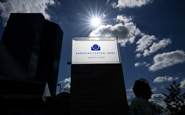 Europejski Bank Centralny z drugoplanową rolą rynkową
