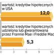 Amerykanie ratują swoje instytucje finansowe