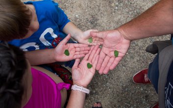 Gra terenowa / zdjęcie ilustracyjne