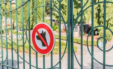 Gmina nie może zakazać wprowadzania zwierząt na cmentarz. Skarga RPO