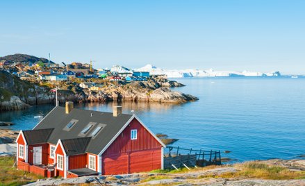 Green X jedzie na Grenlandię