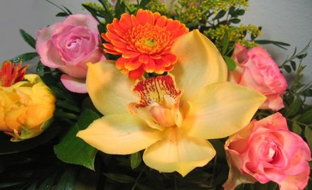 Dzień kobiet: prawa kobiet związane z zatrudnieniem