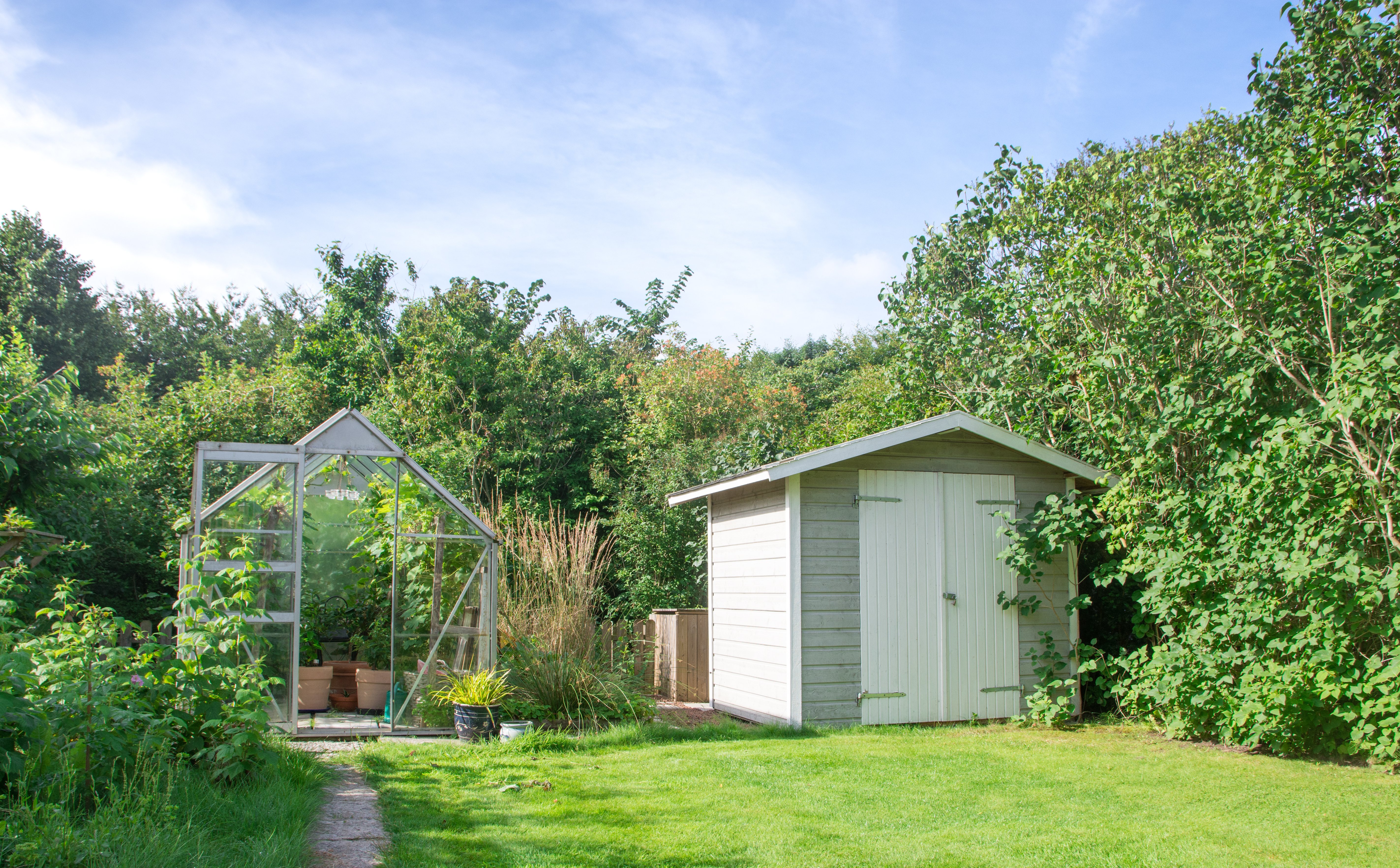 Wysokie kary za budowę szopy w ogrodzie. Ważna jest odległość od działki sąsiada