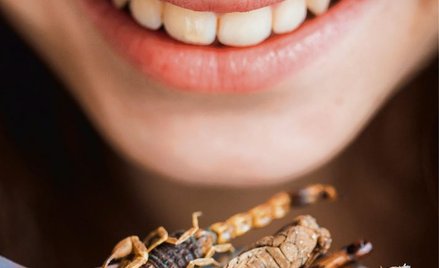 Padlina, korzonki, owady? Człowiek jadł już wszystko