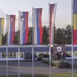 Forte zyskuje po wynikach