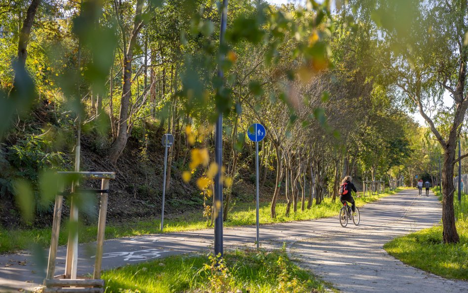 Od 2019 r. we Wrocławiu przybyło ponad 100 km nowych dróg rowerowych