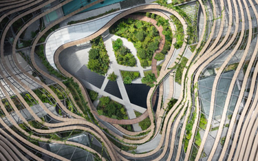 Singapur stworzył miejską dżunglę. To ekologiczne wieżowce przyszłości
