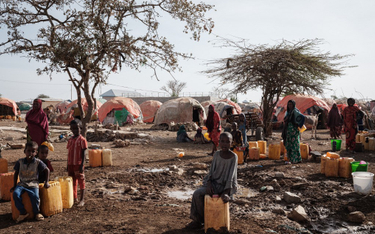 ONZ: W somalijskich ośrodkach żywieniowych zmarło ponad 700 dzieci