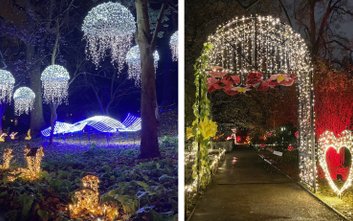 „Magiczny Botaniczny" już od 8 listopada w Ogrodzie Botanicznym UW