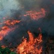 Pożary Amazonii pokazały, jak wiele na Ziemi mamy do stracenia