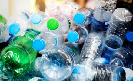 Anita Błaszczak: Gdy wilki stają w obronie owiec