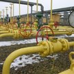Gajewska zaznaczyła, że rozbudowa magazynu nie jest współfinansowana z budżetu UE. Projekt w całości